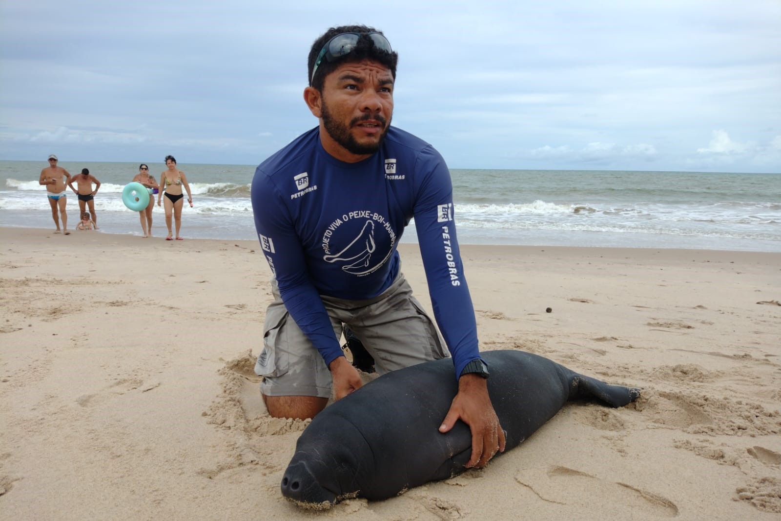 Filhote de peixe-boi-marinho é resgatado no litoral sul da Paraíba