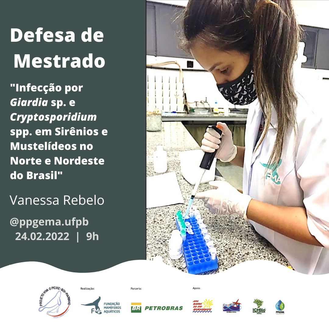 Conservação de sirênios, mustelídeos e cetáceos no Norte e Nordeste do Brasil é tema de pesquisas de mestrado na UFPB  