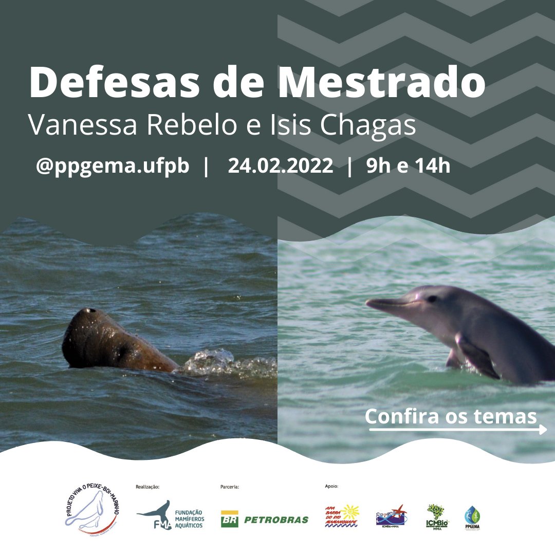 Conservação de sirênios, mustelídeos e cetáceos no Norte e Nordeste do Brasil é tema de pesquisas de mestrado na UFPB  