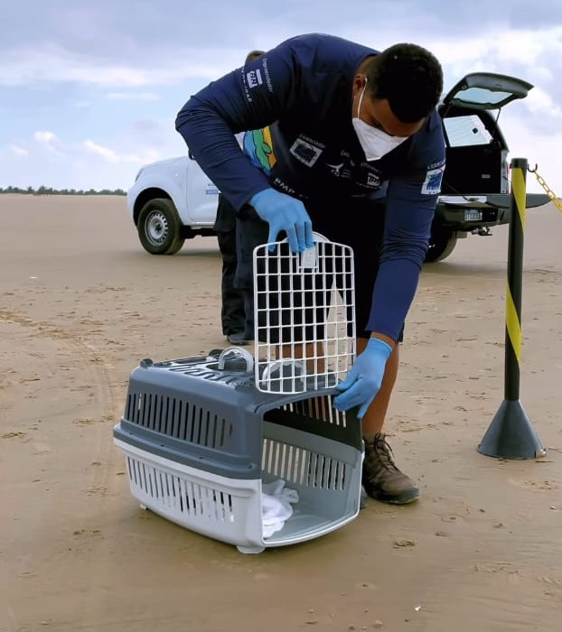 EDITAL - ASSISTENTE AMBIENTAL 