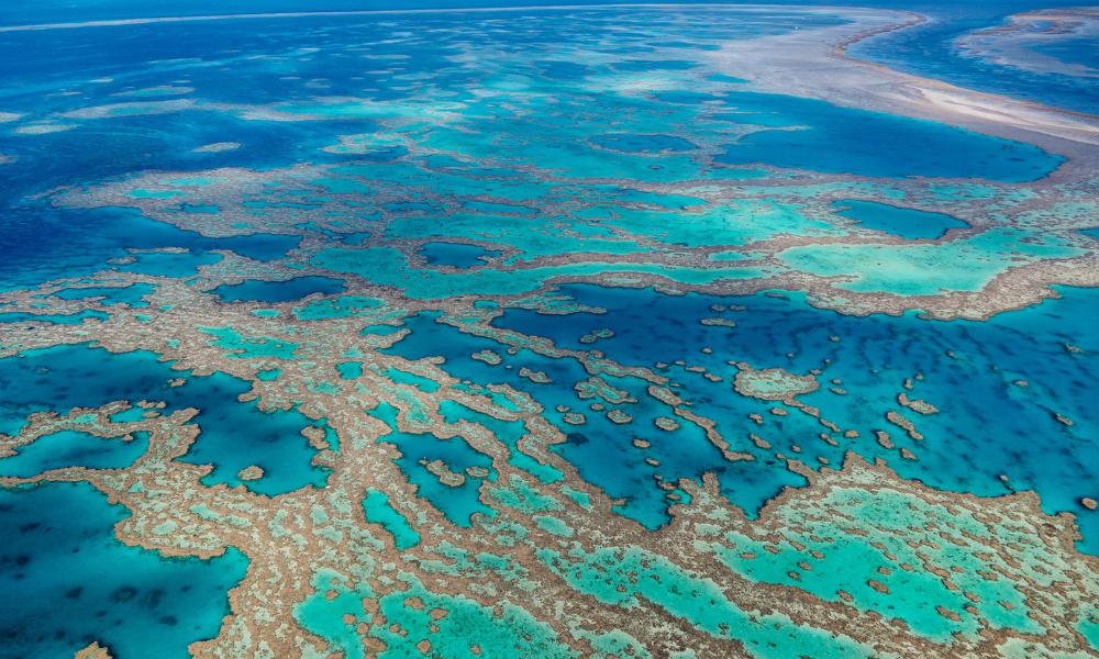 A Grande Barreira de Corais Australiana - o maior organismo vivo da face da Terra. Foto: Getty Images.