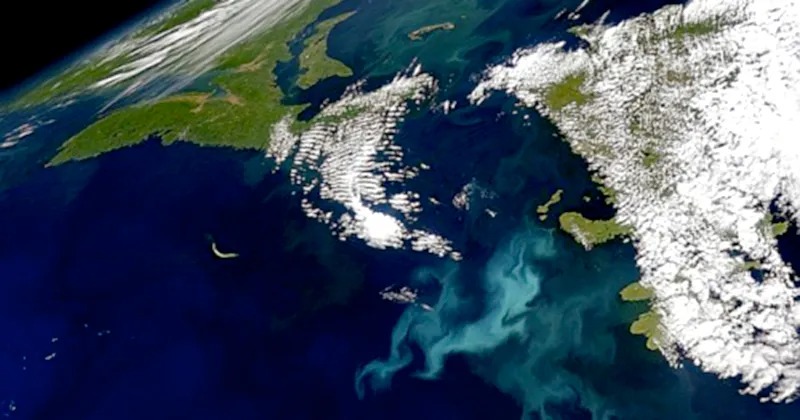 Imagem de satélite de fitoplâncton na superfície do oceano. Foto: Divulgação Nasa.