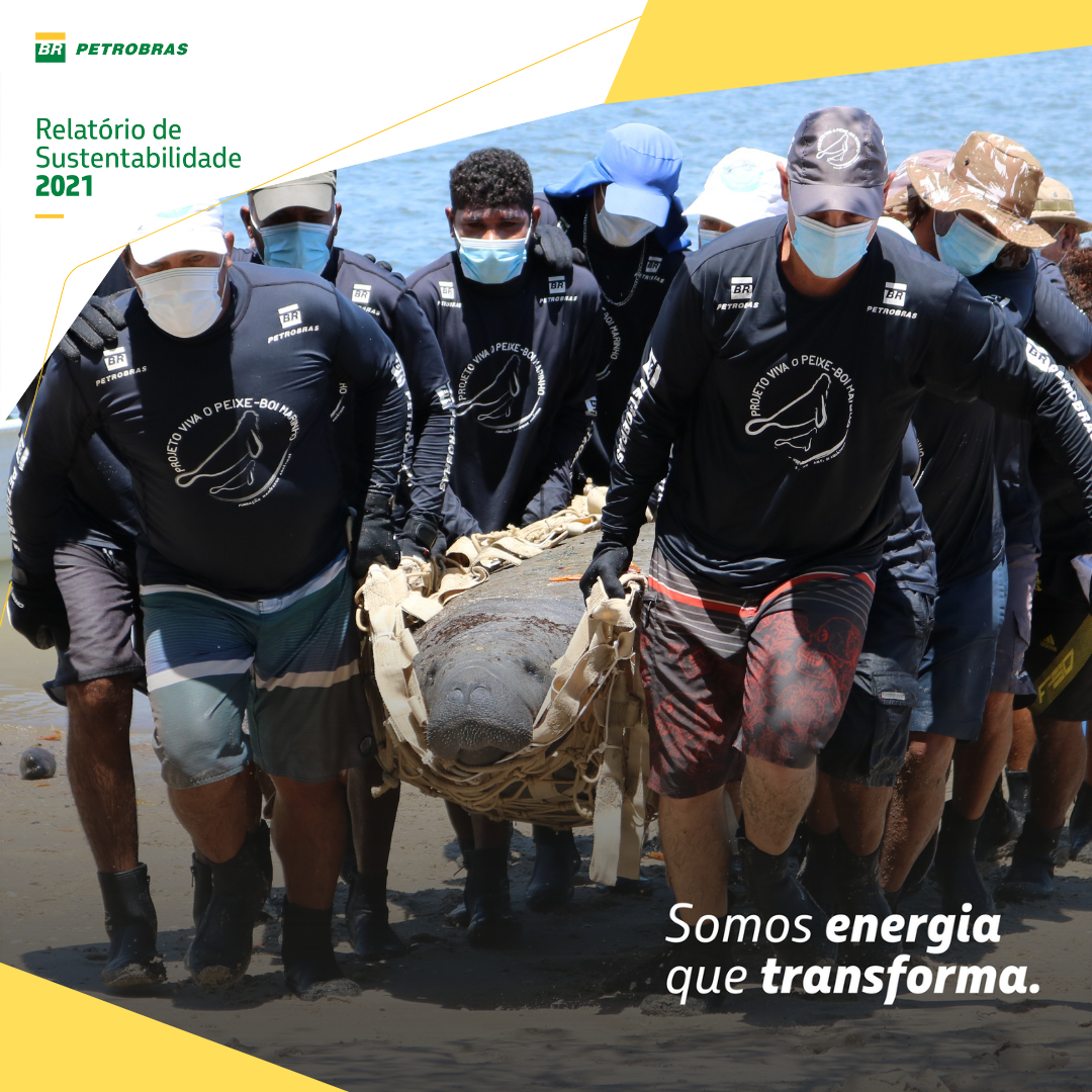 Petrobras publica Relatório de Sustentabilidade e a conservação dos peixes-bois-marinhos está entre os resultados positivos alcançados