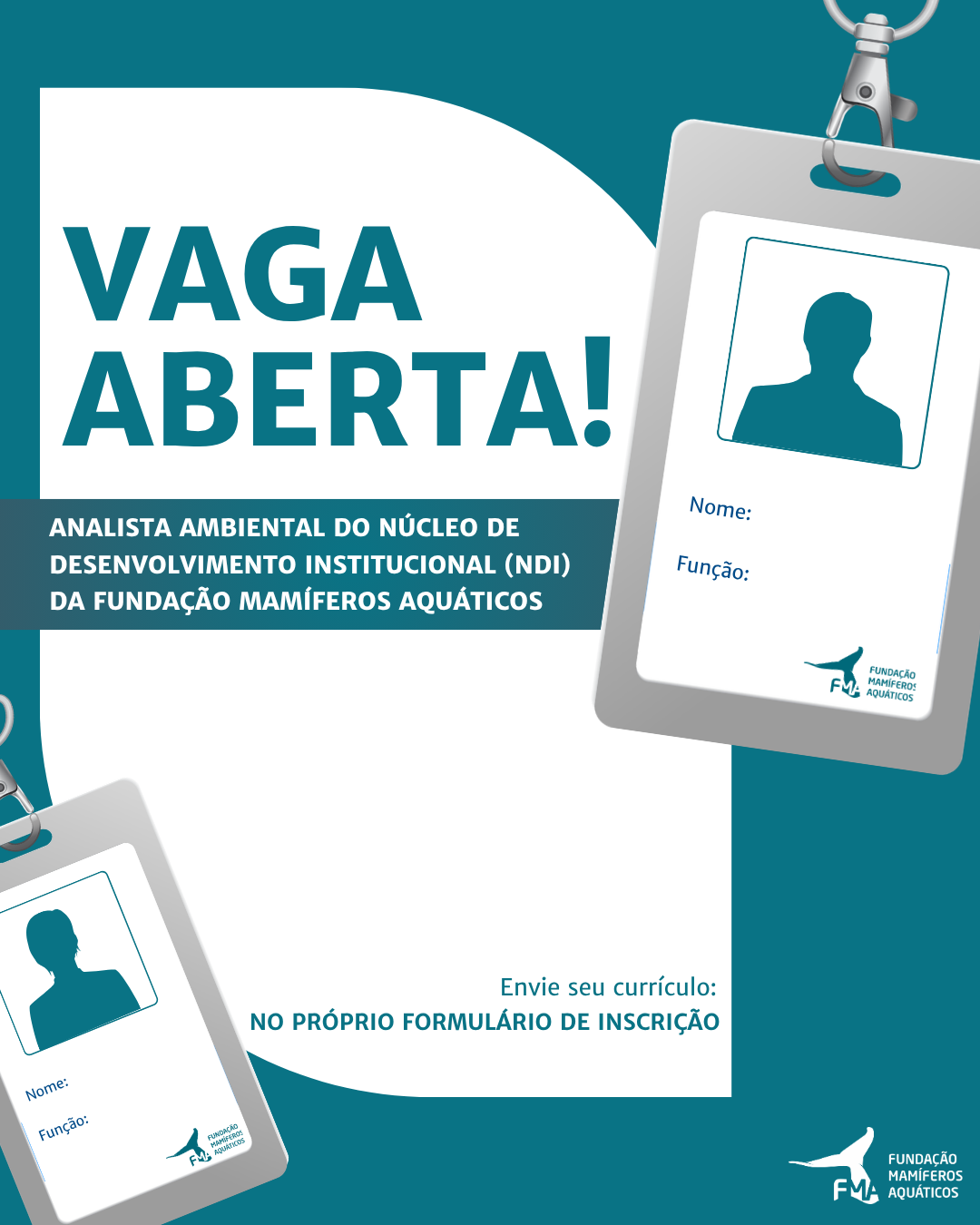 EDITAL PARA ANALISTA AMBIENTAL DO NÚCLEO DE DESENVOLVIMENTO INSTITUCIONAL (NDI)