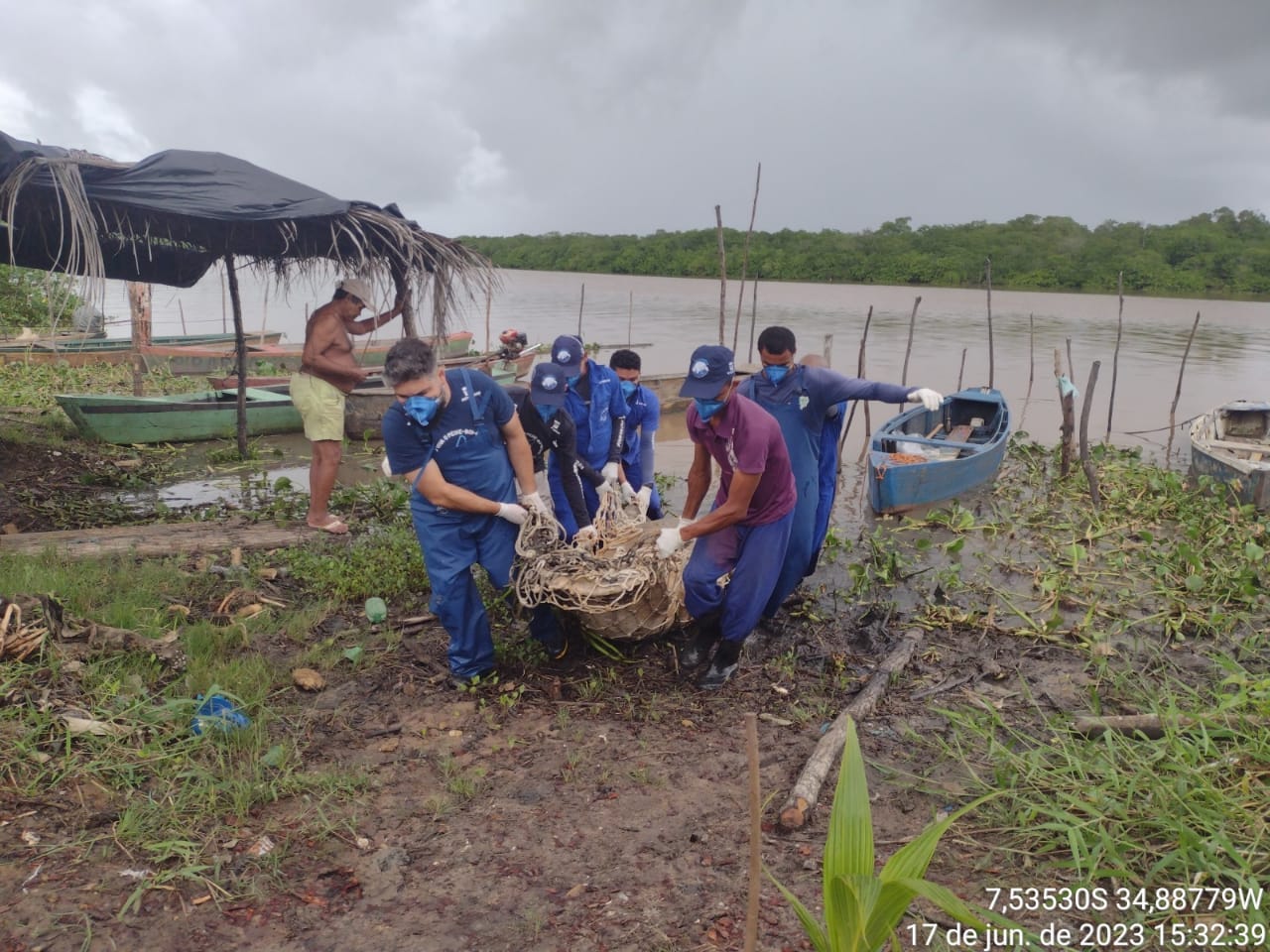 Duas fêmeas de peixe-boi-marinho foram encontradas mortas no litoral sul da Paraíba