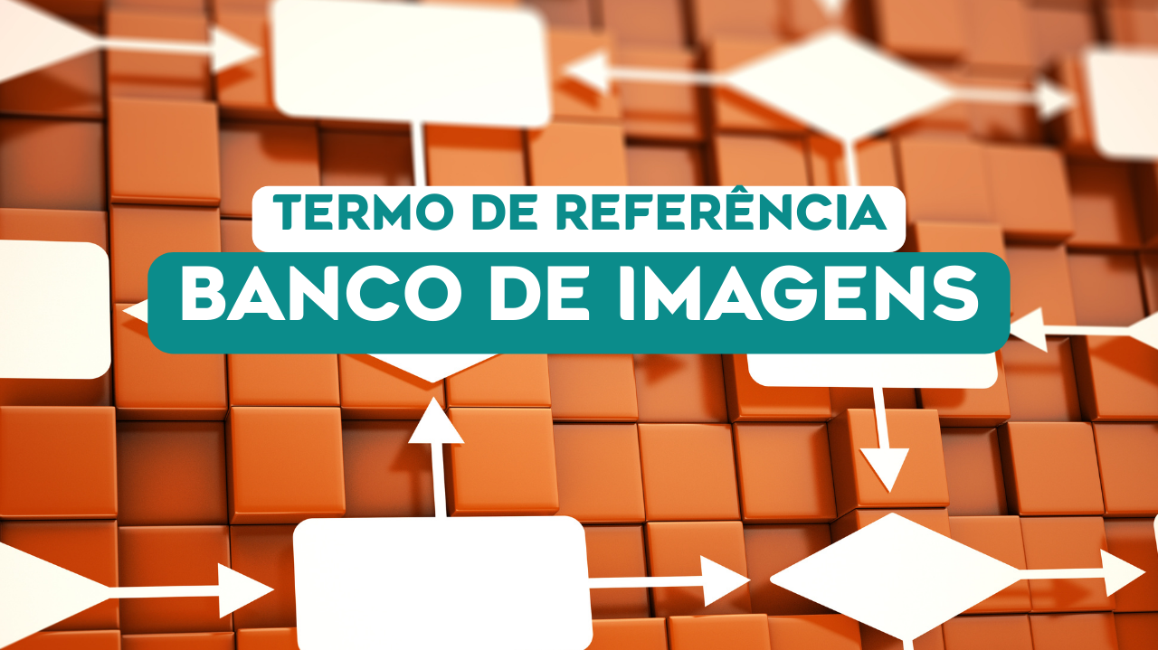 Alerta de vaga: FMA busca profissional especializado para organizar, classificar e propor modelo de uso do acervo digital de imagens