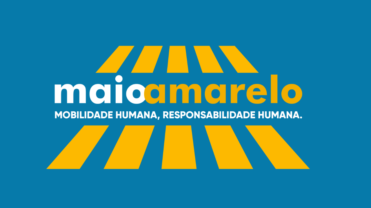 Fundação Mamíferos Aquáticos leva a campanha Maio Amarelo ao mar, e chama atenção para a segurança no trânsito marítimo 