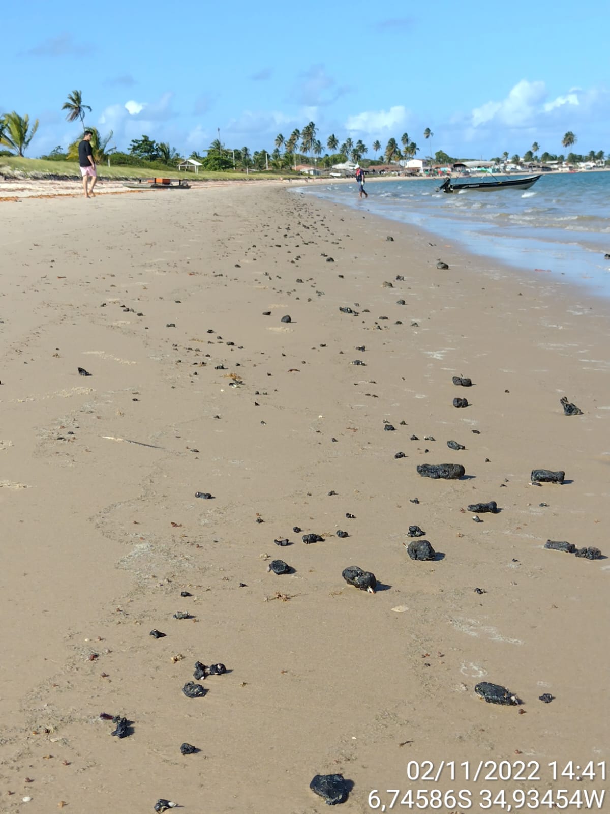 Fragmentos de óleo aparecem no litoral norte da Paraíba, local de ocorrência de peixes-bois-marinhos
